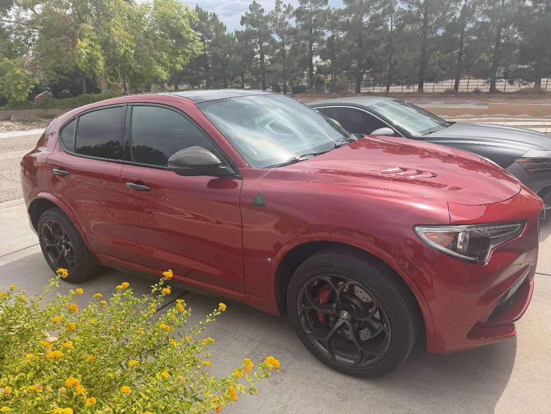 Marco Guerrero's Stelvio Quad